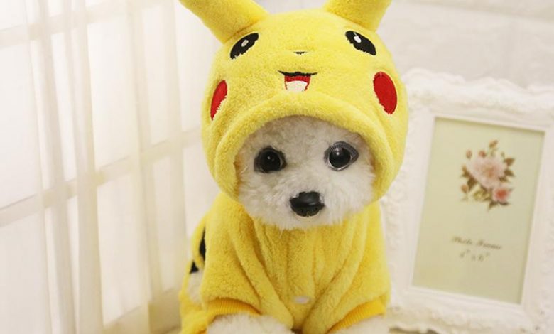 Best Pokemon Costumes for Dogs